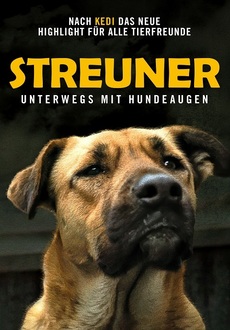Cover - Streuner - Unterwegs mit Hundeaugen