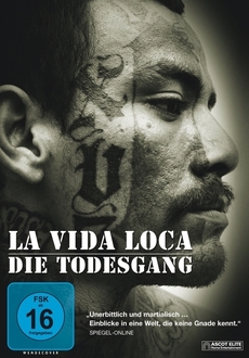 Cover - La Vida Loca